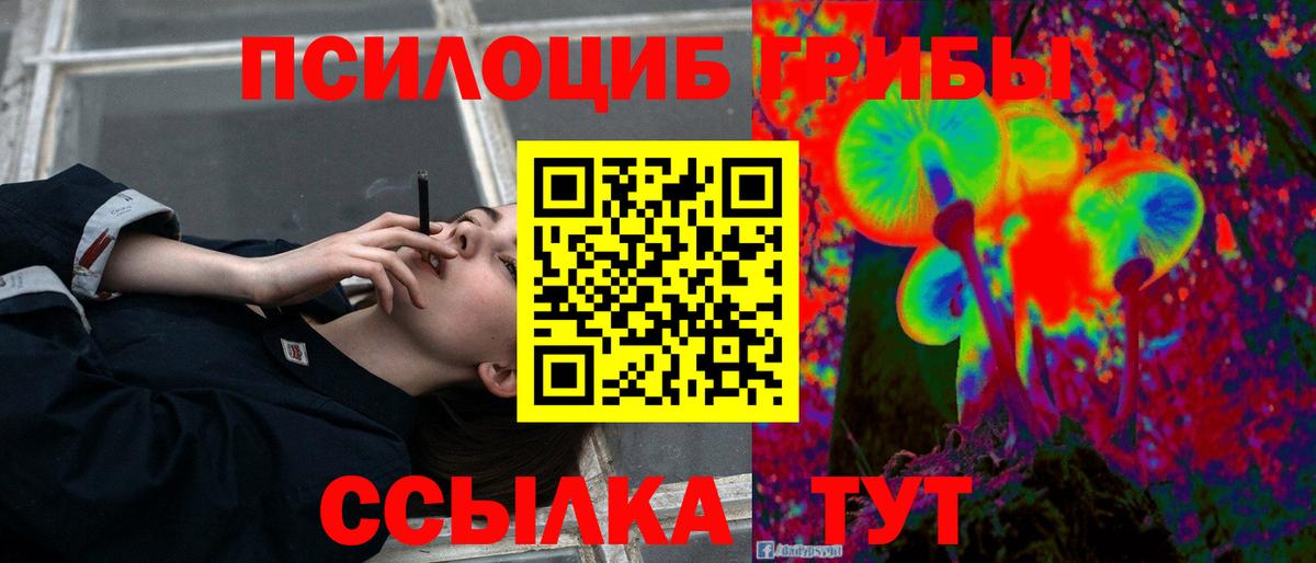 Псилоцибиновые грибы прущие грибы Волгоград