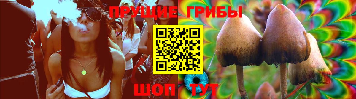 Волгоград  Псилоцибиновые грибы MAGIC MUSHROOMS  Вход с VPN  Галлюциногенные грибы MAGIC MUSHROOMS 